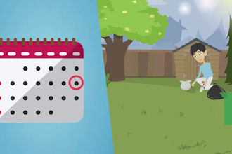 create high impact 2d marketing animation videos that drives sales