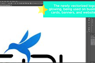 do manual vector tracing using adobe illustrator