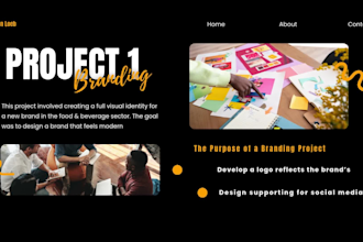 create a professional, responsive portfolio website