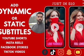 add dynamic subtitles to insta reels, shorts and videos