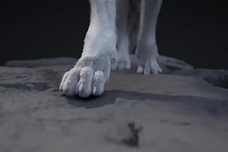 create quality 3d animal animation, cgi animal animation, 3d animal modeling