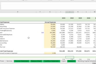 do professional business valuations and financial models