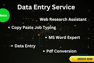 do data entry  web research and virtual assistant job