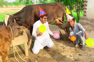 african happy birthday video or funny happy birthday video
