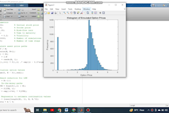 work on matlab programming and simulink tasks