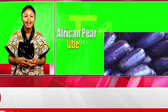 translate from english to igbo with voiceover