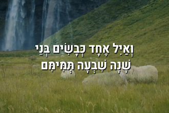 create an animated lyric video in hebrew