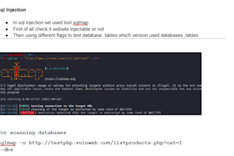 test your IT infra projects network security and  penetration testing
