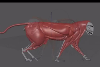 rig your 3d character professionally in blender and maya