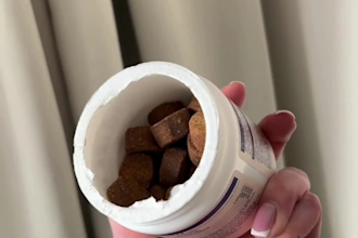 create an engaging ugc video to promote your pet product