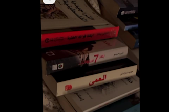 provide clear and professional book translations