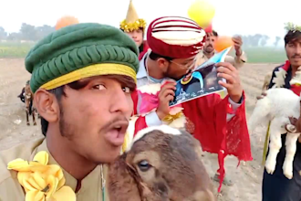 wish happy birthday video or be indian spokesperson
