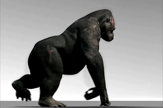 integrate 3d animal animation, 3d character design, 3d cgi animal, compositing