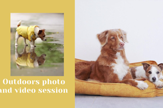 do product photography and video with dog in nature