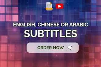 add subtitles in english, chinese, or arabic
