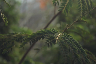 professionally edit your travel videos