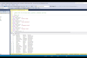 expertly write and develop sql queries for databases