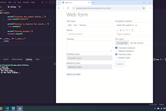 do python automation, web automation and API development