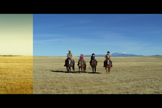 do professional color grading to your videos with cinematic looks