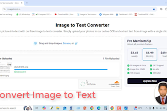 convert PDF to word, google docs, typing services