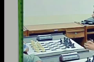 help you learning chess as beginner or intermediate level