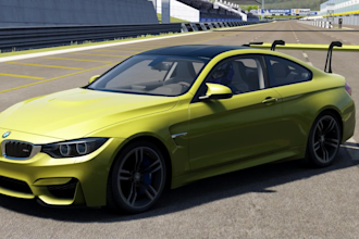 customize assetto corsa cars according to your request