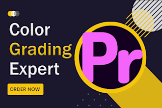 do color grading , color correction video as colorist