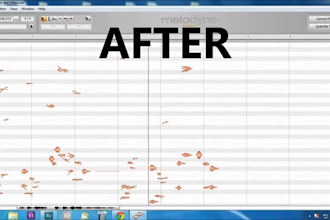 professionally tune, edit, clean and time vocals