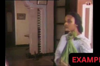 translate and subtitle sinhala videos in english professionally