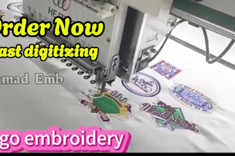 provide professional embroidery digitizing service, logo, vector art in 1 hour