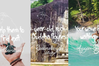 plan and research all your travels in sri lanka