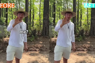 remove subtitle, logo, caption or watermark on your video