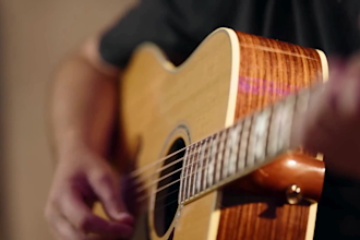 be your professional country music singer and male vocal