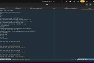 set up openvpn server or client for secure connection