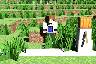 make you a minecraft animation