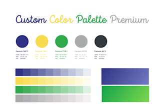 create a professional custom color palette rgb cmyk  pantone