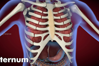 script, edit and animate medical and surgical videos
