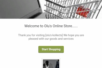 build ecommerce website for business owner