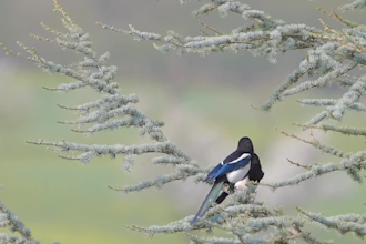 create youtube channel with 4k nature relaxing meditation rain water music video