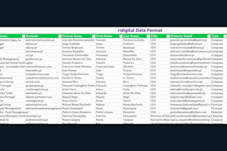 provide b2b leads data for any business