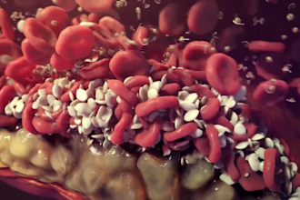 create 3d medical animation, 3d pharmaceutical moa animation, explainer video