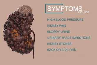 make 2d medical and scientific animations