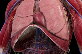 do 3d medical animation surgery animation 3d explainer video
