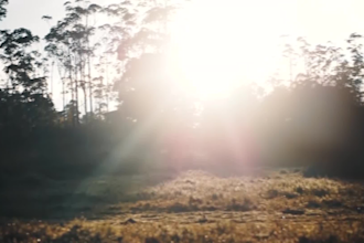 high quality edits your video into a cinematic masterpiece