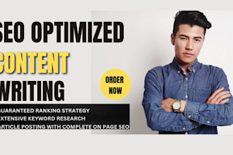 write SEO blog posts, pro website copy, and expert niche content