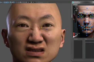3d iclone faclal rig,rig animaze avatar model,unity,character,vtuber blendshape