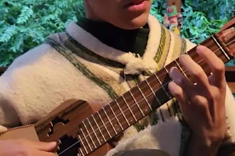 play and record charango or ronroco for you