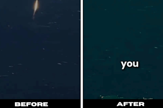 edit your videos with captions, text animations, and effects