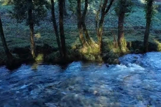 do relaxing music, meditation for your youtube channel and chrismas song
