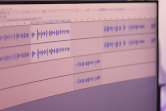 do professional audio editing and noise reduction